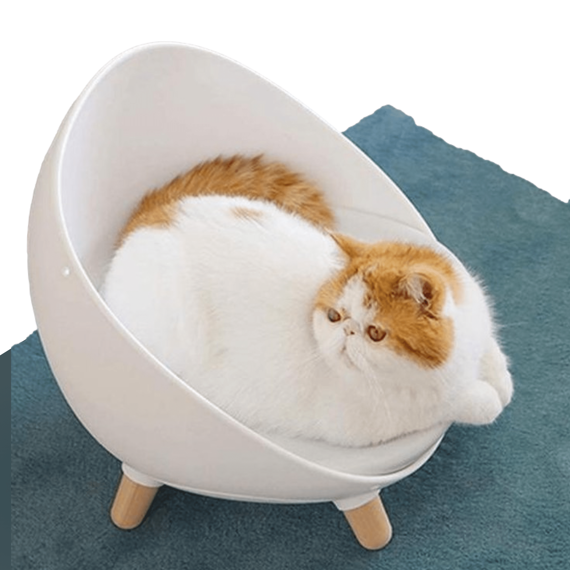 - Design Kattenmand Luxe Kattenmand - Multifunctionele Kattenmand 4 In 1 - Kattenbed - Wit -