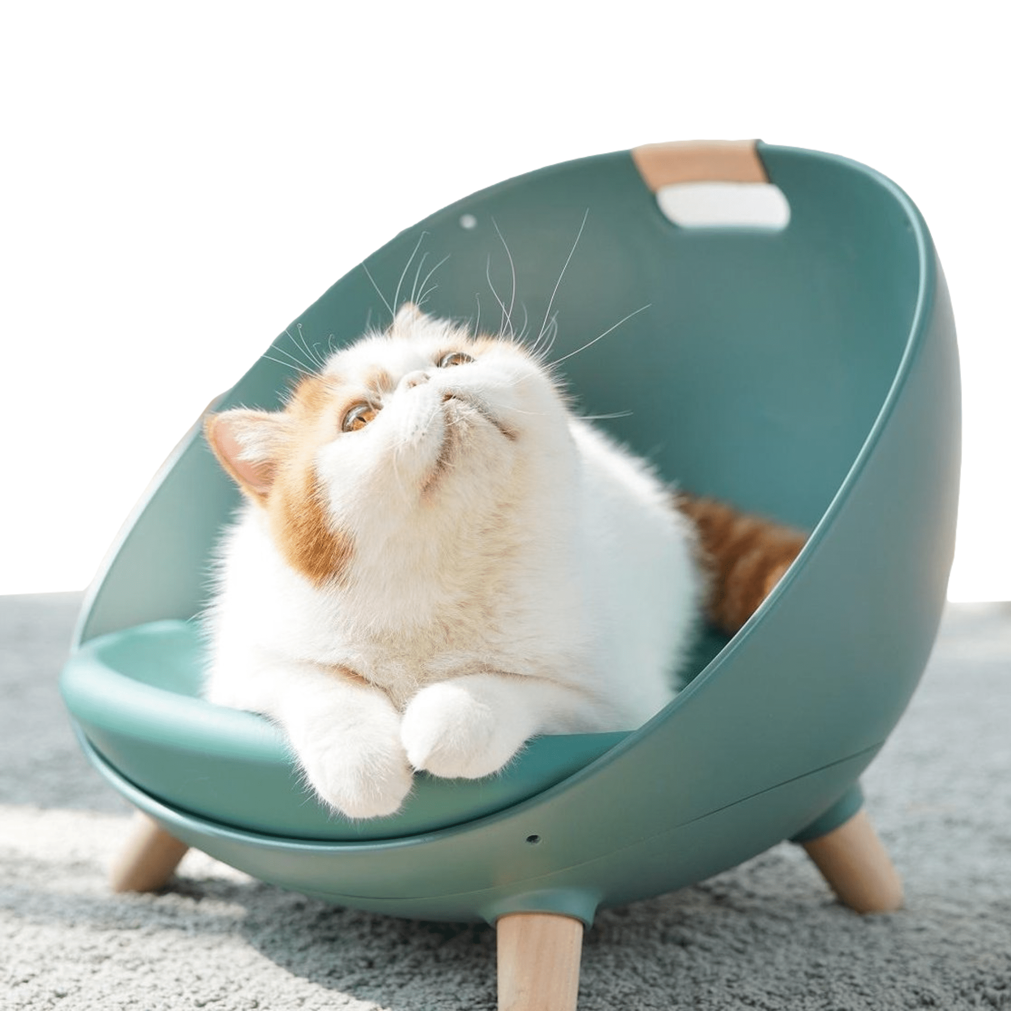 MS! Duku Cat Nest - 4 1 Kattenmand – Verkrijgbaar in Wit, rose en mosgroen Comfortabel Kattenbed – Esthetisch ontwerp – Design Kattenmeubel voor 2 Katten - Mosgroen - HomeShopXL