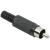 Afbeelding van RCA-stekker 10 Stuks [05077FK] - 01 05077FK web