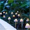 Afbeelding van LED-zonnelamp - 12 mini-paddenstoelen - warm wit - 28,5 cm x 4 m 1 Stuks [11243] - 01 11243 web