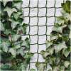 Afbeelding van Klimnet voor planten - 5m x 50 cm - knipbaar plastic - donkergroen 1 Stuks [11467] - 01 11467 web 5