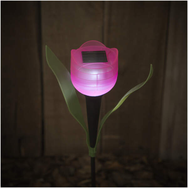 Afbeelding van Zonne-energie aangedreven LED-tulpenlamp 1 Stuks [11703] - 01 11703 web