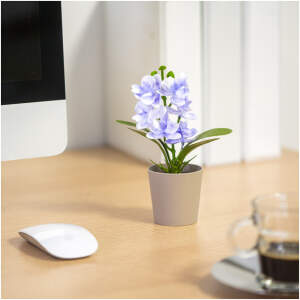 Afbeelding van Kunstplantdecoratie - in pot - 6 x 17 cm - 4 soorten 1 Stuks [11829] - 01 11829 web