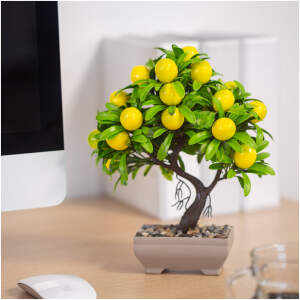 Afbeelding van Kunstplant decoratie - citroenboom - 18 x 24 cm 1 Stuks [11833] - 01 11833 web