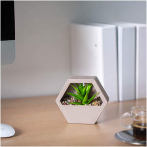 Afbeelding van Kunstplantendecoratie - wand - 13 x 12 cm - 4 soorten 1 Stuks [11837] - 01 11837 web