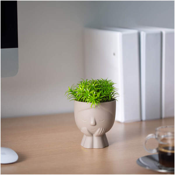 Afbeelding van Kunstmatige plantendecoratie - mensenhoofd - 9 x 14 cm - 4 soorten 1 Stuks [11850] - 01 11850 web