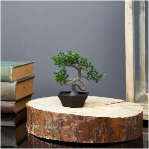 Afbeelding van Kunstplant decoratie - bonsai - 10 x 13 cm 1 Stuks [11856] - 01 11856 web