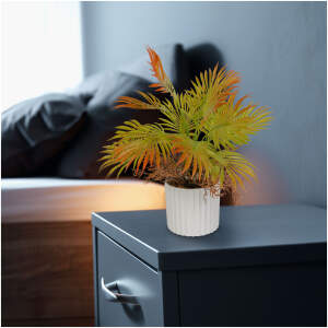 Afbeelding van Kunstplant decoratie kunstpalm - 22 x 8,5 cm 1 Stuks [11887] - 01 11887 web