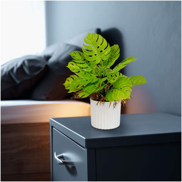 Afbeelding van Kunstplantdecoratie - Monstera - 22 x 8,5 cm 1 Stuks [11888] - 01 11888 web