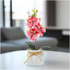 Afbeelding van Kunstplant Decoratie - Orchidee - roze - 20 x 9 cm 1 Stuks [11889A] - 01 11889A web