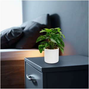 Afbeelding van Kunstplant decoratie - philodendron - groen - 20 x 8 cm 1 Stuks [11892A] - 01 11892A web