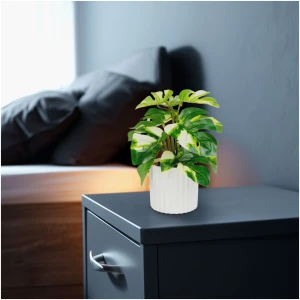 Afbeelding van Kunstplant decoratie - philodendron - groen/geel - 20 x 8 cm 1 Stuks [11892B] - 01 11892B web