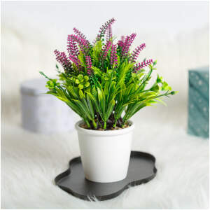 Afbeelding van Kunstplant Decoratie - Lavendel - 20 x 8 cm 1 Stuks [11893] - 01 11893 web
