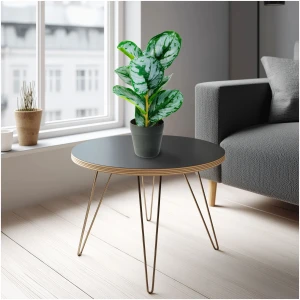Afbeelding van Kunstplant Decoratie - Zebrablad - Groen/Wit - 34 x 9 cm 1 Stuks [11896C] - 01 11896C web