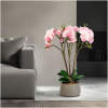 Afbeelding van Kunstplant decoratie - orchidee - roze - 58 cm 1 Stuks [11900A] - 01 11900A web