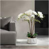Afbeelding van Kunstplant decoratie - orchidee - wit - 58 cm 1 Stuks [11900B] - 01 11900B web