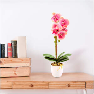 Afbeelding van Kunstplant Decoratie - Orchidee - Roze - 48 cm 1 Stuks [11901A] - 01 11901A web