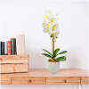 Afbeelding van Kunstplant Decoratie - Orchidee - Wit - 48 cm 1 Stuks [11901B] - 01 11901B web