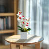 Afbeelding van Kunstplantdecoratie – orchidee – 3 soorten – 37 cm 1 Stuks [11902] - 01 11902 web