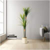 Afbeelding van Kunstplant Decoratie - Dracaena Marginata - Groen - 1,2 m 1 Stuks [11903] - 01 11903 web