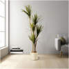 Afbeelding van Kunstplant Decoratie - Palm - Groen - 1,5 m 1 Stuks [11904] - 01 11904 web