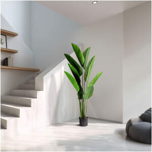 Afbeelding van Kunstplantdecoratie - Bananenbladboom - Groen - 1,6 m 1 Stuks [11905B] - 01 11905B web