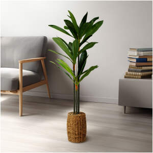 Afbeelding van Kunstplantdecoratie - Dracaena Fragrans - 1,1-1,2 m 1 Stuks [11906] - 01 11906 web