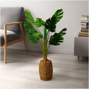 Afbeelding van Kunstmatige Plantendecoratie - Philodendron - 1 m 1 Stuks [11907] - 01 11907 web