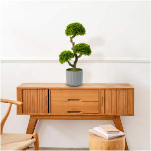 Afbeelding van Kunstmatige Plantendecoratie - Bonsai - 55 x 27 cm 1 Stuks [11909] - 01 11909 web