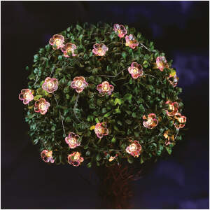 Afbeelding van Solar lichtsnoer - bloem - 2,4 m - 25 warmwitte LED's 1 Stuks [55218C] - 01 55218C web