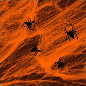 Afbeelding van Spinnenweb en spin - sinaasappels - 4-5 m² 1 Stuks [56510B] - 01 56510B web