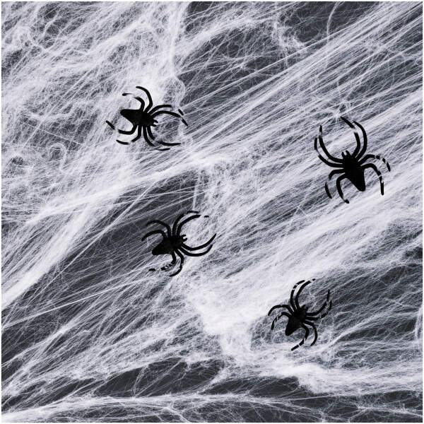 Afbeelding van Spinnenweb en spin - wit - 4-5 m² 1 Stuks [56510C] - 01 56510C web