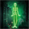 Afbeelding van Halloween fosforescerende decoratie - skelet - 90 x 40 cm 1 Stuks [56545B] - 01 56545B web