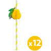 Afbeelding van Papieren rietje - 3D fruit - 197 x 6 mm - 12 stuks / verpakking 1 Stuks [57603B] - 01 57603B web 1