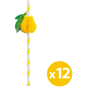 Afbeelding van Papieren rietje - 3D fruit - 197 x 6 mm - 12 stuks / verpakking 1 Stuks [57603B] - 01 57603B web 1