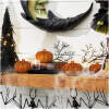 Afbeelding van Halloween pompoendecoratie - 5,2 cm - schuim - glitter - 4 stuks / verpakking 1 Stuks [58188] - 01 58188 web 1