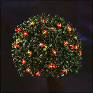 Afbeelding van Solar LED lichtsnoer - lieveheersbeestje - 2,4 m - 25 LED - warm wit 1 Stuks [58220B] - 01 58220B web