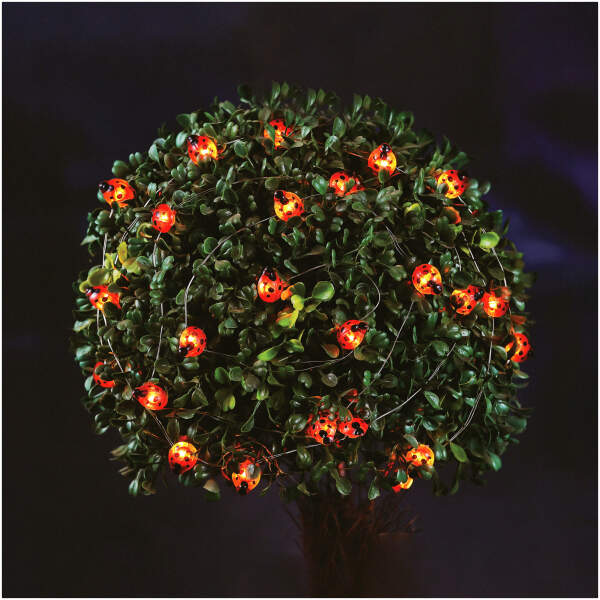 Afbeelding van Solar LED lichtsnoer - lieveheersbeestje - 2,4 m - 25 LED - warm wit 1 Stuks [58220B] - 01 58220B web