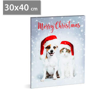 Afbeelding van Kerst LED-afbeelding - met ophanging, 2 x AA, 30 x 40 cm 1 Stuks [58452] - 01 58452 web 1