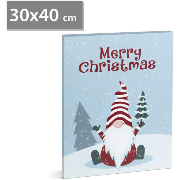 Afbeelding van Kerst LED-afbeelding - met ophanging, 2 x AA, 30 x 40 cm 1 Stuks [58463] - 01 58463 web