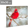 Afbeelding van LED-afbeelding - rode vink - 30 x 30 cm 1 Stuks [58478] - 01 58478 web