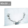 Afbeelding van LED-afbeelding - rendier - 2 x AA, 40 x 30 cm 1 Stuks [58481A] - 01 58481A web