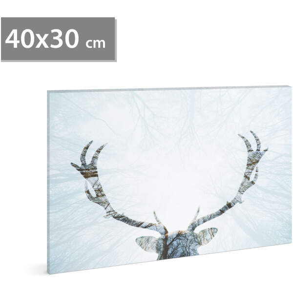Afbeelding van LED-afbeelding - rendier - 2 x AA, 40 x 30 cm 1 Stuks [58481A] - 01 58481A web