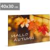 Afbeelding van LED-afbeelding - "Hallo Herfst" - 2 x AA, 40 x 30 cm 1 Stuks [58502] - 01 58502 web
