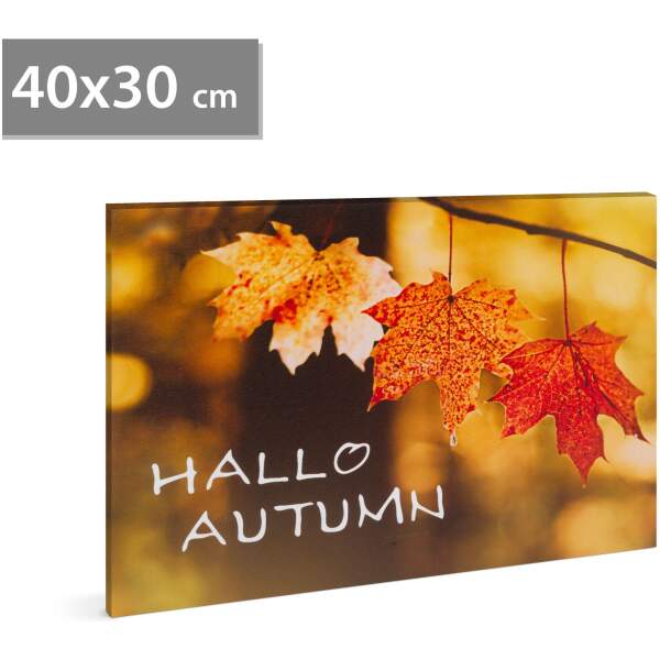 Afbeelding van LED-afbeelding - "Hallo Herfst" - 2 x AA, 40 x 30 cm 1 Stuks [58502] - 01 58502 web