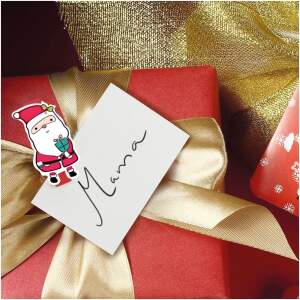 Afbeelding van Kerstclip met lint - Kerstman - 22 x 35 mm - 18 stuks, 2 m / verpakking 1 Stuks [58526A] - 01 58526A web