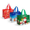 Afbeelding van Cadeauzakje - 3 soorten - 31 x 25 x 17 cm - 12 stuks / verpakking 12 Stuks [58562] - 01 58562 web