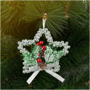 Afbeelding van Kerstdecoratie - hangend - zilveren ster - 10 cm 1 Stuks [58566B] - 01 58566B web