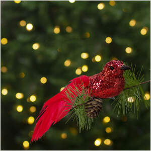 Afbeelding van Kerstversiering - clip - glittervogel - rood - 2 stuks / verpakking 1 Stuks [58643A] - 01 58643A web