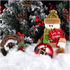 Afbeelding van Nepsneeuw - 80 g 1 Stuks [58733] - 01 58733 web